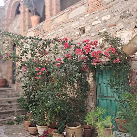 The Mandarine, Orangery Retreat * Tursi