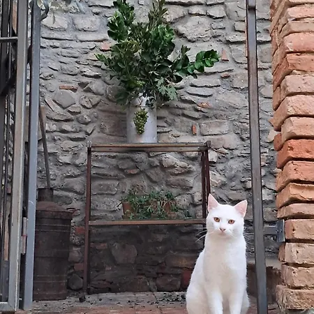 The Mandarine, Orangery Retreat 아파트 Tursi